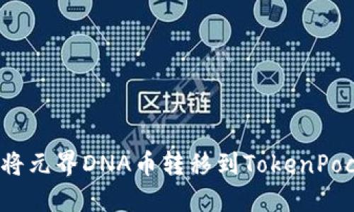 如何将元界DNA币转移到TokenPocket?