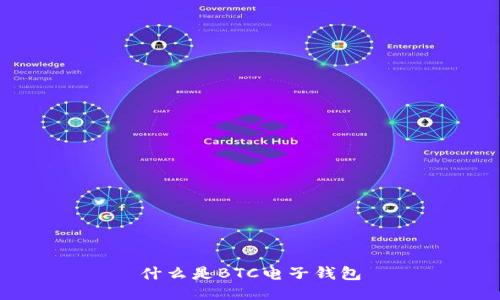 什么是BTC电子钱包