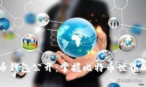 比特币钱包公开:掌握比特币世界的钥匙