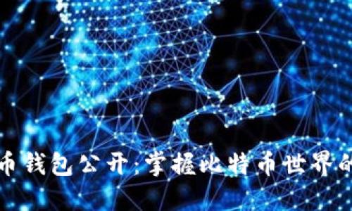 比特币钱包公开:掌握比特币世界的钥匙