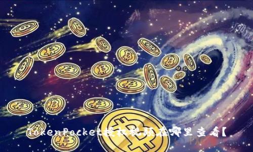 TokenPocket授权视频在哪里查看?