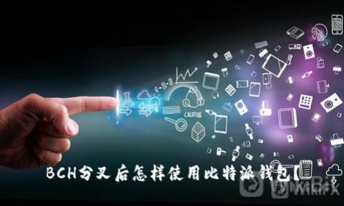 BCH分叉后怎样使用比特派钱包?