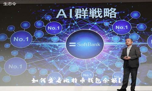 如何查看比特币钱包余额?