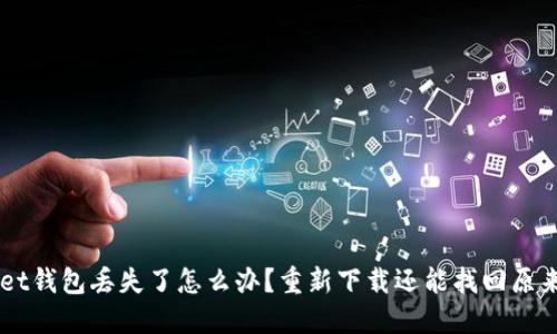 TokenPocket钱包丢失了怎么办?重新下载还能找回原来的账号吗?