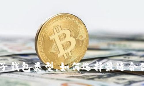 了解各种电子钱包类型,如何选择最适合你的电子钱包