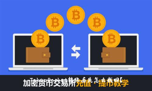 TokenPocket转账丢失怎么找回?