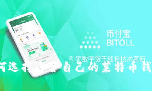 如何选择适合自己的莱特币钱包?