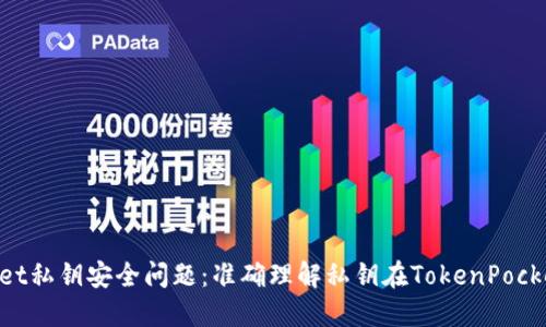 TokenPocket私钥安全问题:准确理解私钥在TokenPocket中的作用
