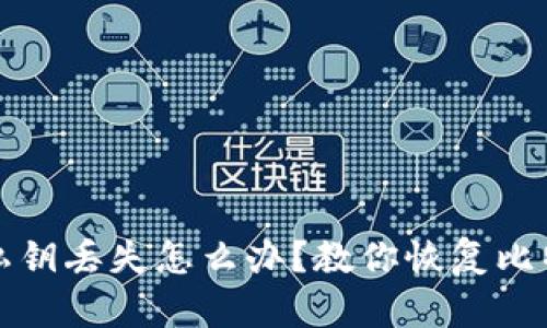 比特股钱包私钥丢失怎么办?教你恢复比特股钱包私钥
