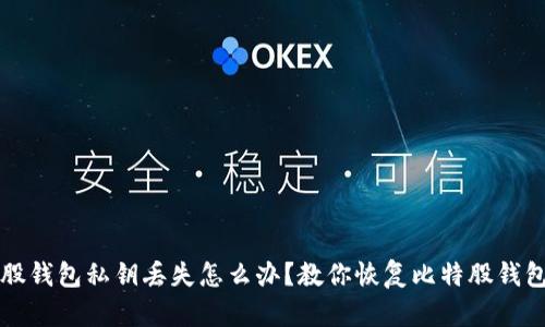 比特股钱包私钥丢失怎么办?教你恢复比特股钱包私钥
