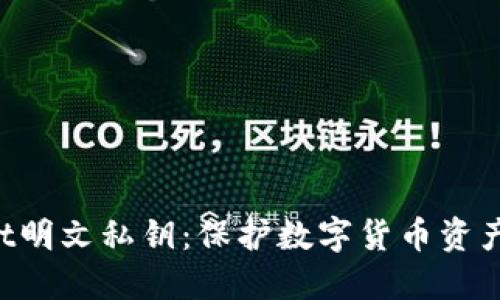 TokenPocket明文私钥:保护数字货币资产的首要问题