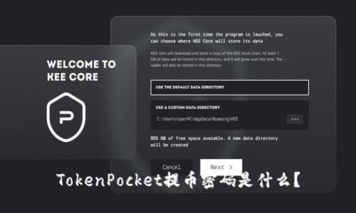 TokenPocket提币密码是什么?