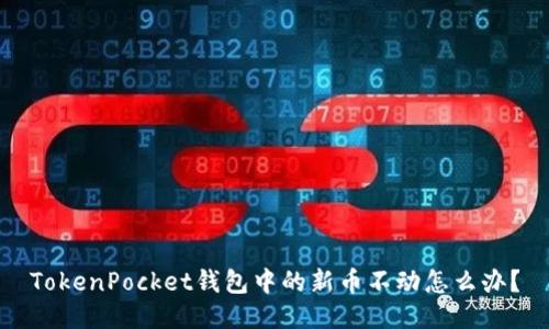 TokenPocket钱包中的新币不动怎么办?