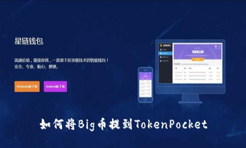 如何将Big币提到TokenPocket