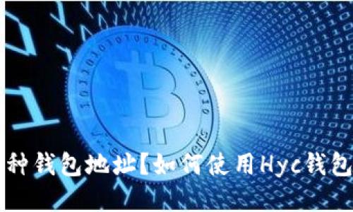 Hyc使用哪种钱包地址?如何使用Hyc钱包进行交易?