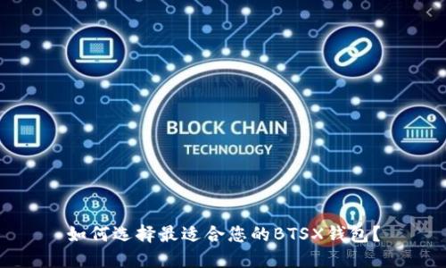 如何选择最适合您的BTSX钱包?