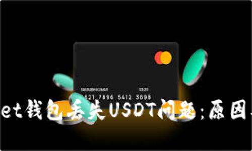 TokenPocket钱包丢失USDT问题:原因及解决方法