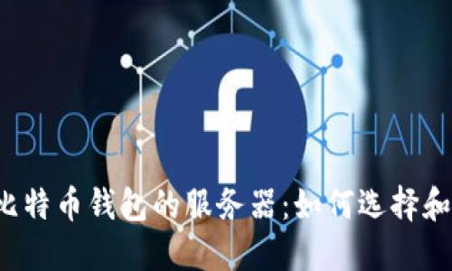 比特币钱包的服务器:如何选择和?