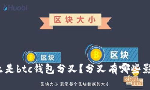 什么是btc钱包分叉?分叉有哪些影响?