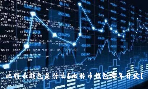 比特币钱包是什么？比特币钱包哪年开发？