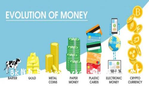 BK钱包与TokenPocket:哪个更适合你?