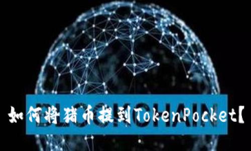 如何将猪币提到TokenPocket?