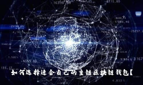 如何选择适合自己的主链区块链钱包?