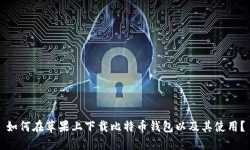如何在苹果上下载比特币钱包以及其使用?