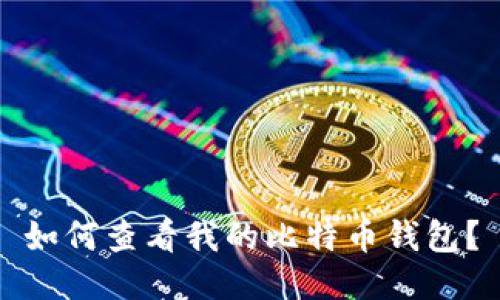 如何查看我的比特币钱包?