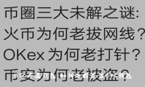 BTC专属钱包:如何选择最佳BTC钱包