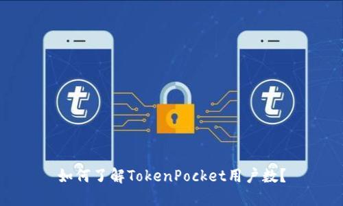 如何了解TokenPocket用户数?