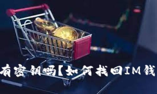 IM钱包有密钥吗?如何找回IM钱包密钥?