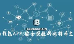 BitPay钱包APP：安全便捷的