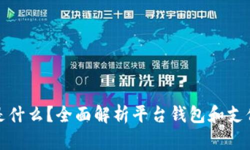 BitPay是什么?全面解析平台钱包和支付处理商