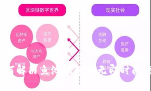 如何解决鱼池钱包的无即时问题?