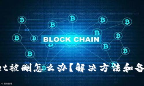 TokenPocket被删怎么办?解决方法和备用钱包推荐