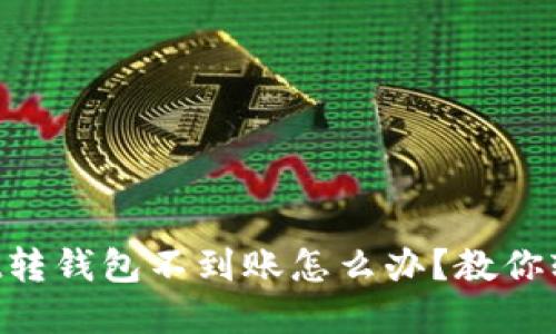 TokenPocket转钱包不到账怎么办?教你轻松解决问题