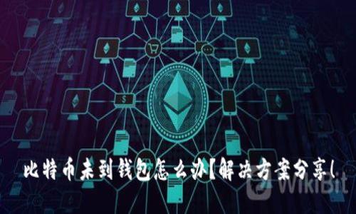 比特币未到钱包怎么办?解决方案分享!