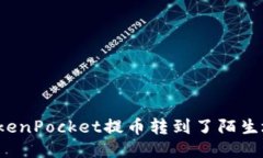 如何处理TokenPocket提币转到