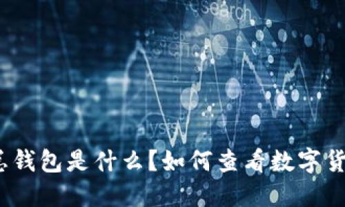 数字货币总钱包是什么?如何查看数字货币总钱包?