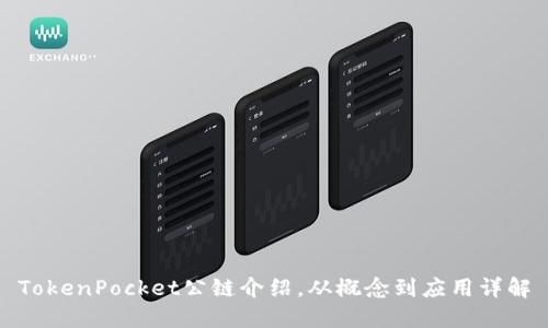 TokenPocket公链介绍,从概念到应用详解