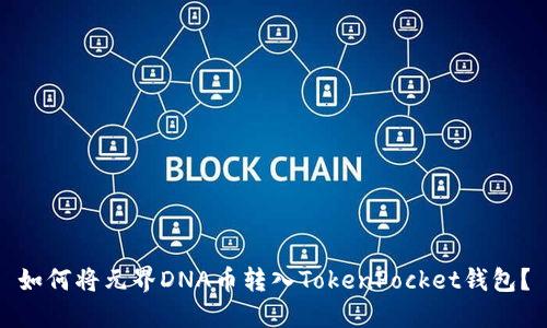 如何将元界DNA币转入TokenPocket钱包?