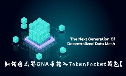 如何将元界DNA币转入TokenPocket钱包?