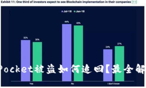 TokenPocket被盗如何追回?最全解决方案