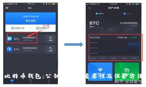 比特币钱包:公钥私钥的重要性及保护方法
