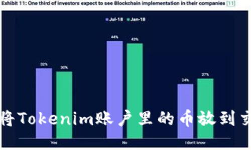 如何将Tokenim账户里的币放到交易所
