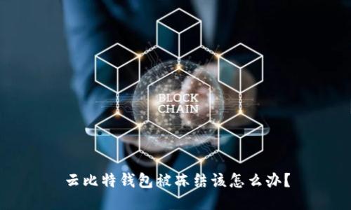 云比特钱包被冻结该怎么办?