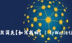 tpWallet币突然消失？如何找