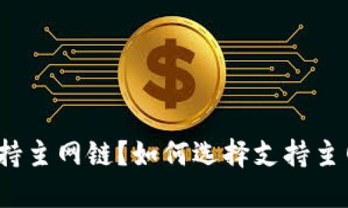 哪个钱包支持主网链?如何选择支持主网链的钱包?