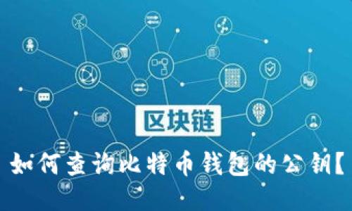 如何查询比特币钱包的公钥?